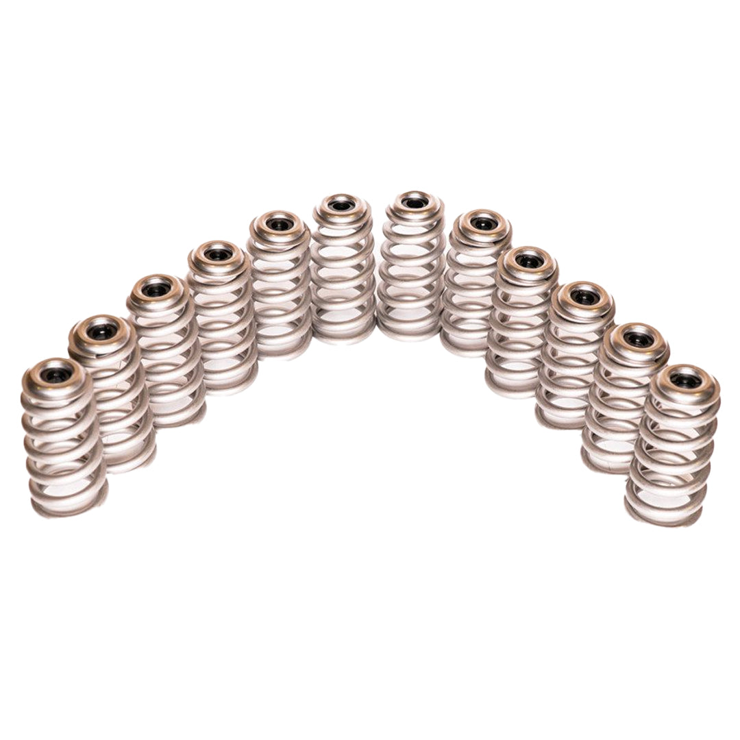 PDD 12v Valve Springs