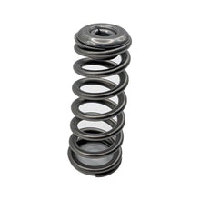 PDD 24v Cummins Valve Springs
