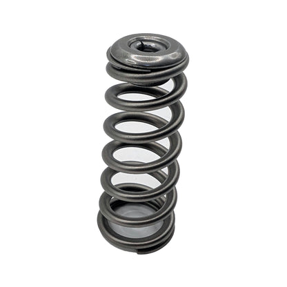 PDD 24v Cummins Valve Springs