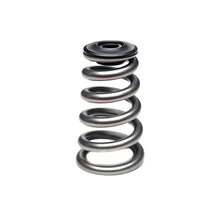 PDD 12v Valve Springs
