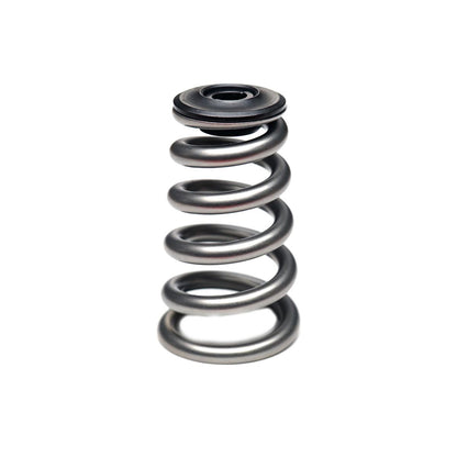 PDD 12v Valve Springs